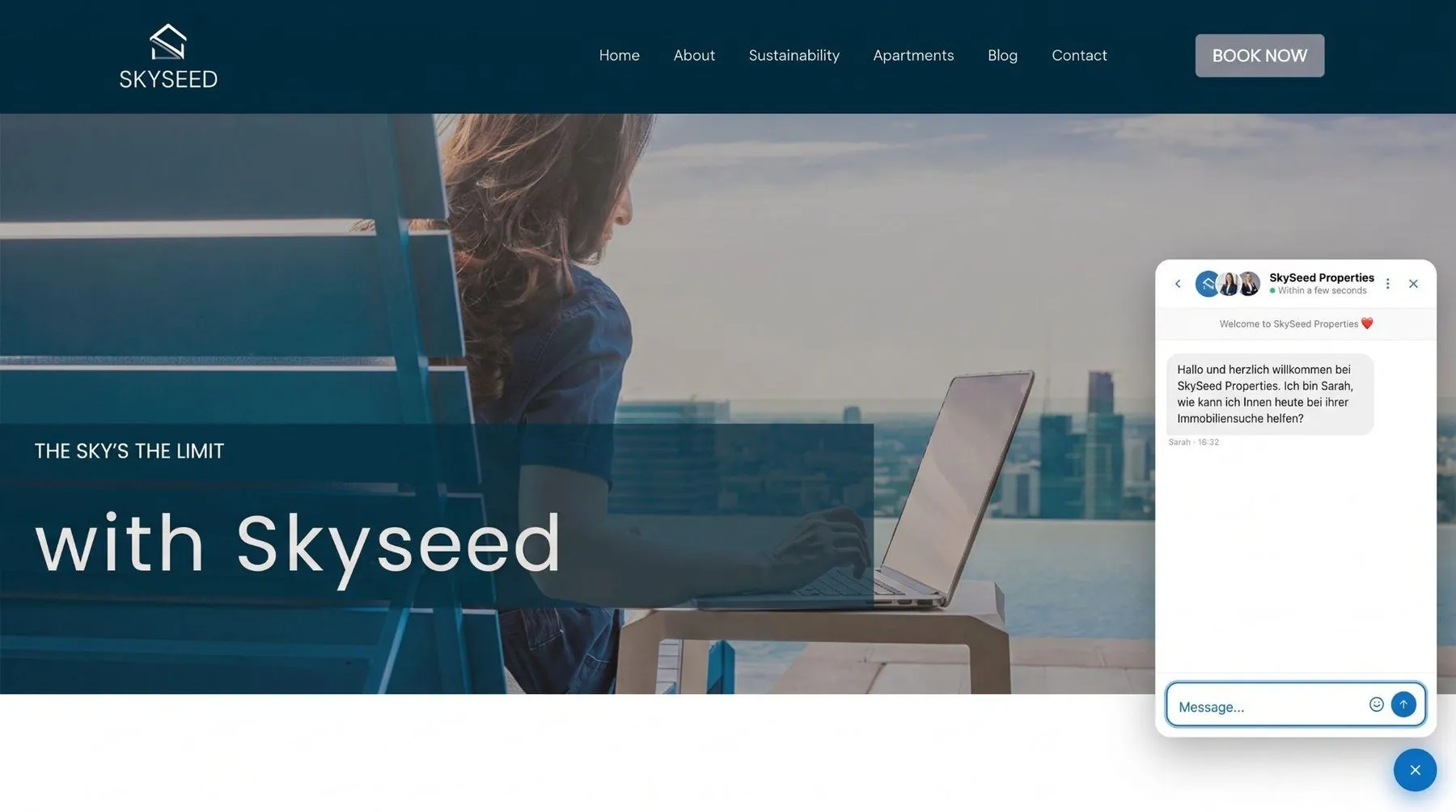SkySeed Properties website chat widget